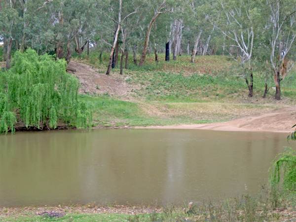 Whylandra Crossing, Dubbo (9/03/2013 11:18:59 AM)