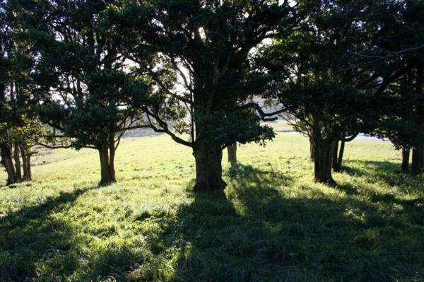 Robertson - Southern Highlands (9/03/2013 8:11:03 PM)