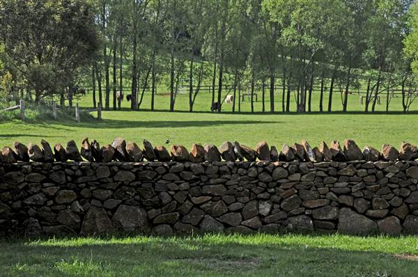 Robertson - Southern Highlands (9/03/2013 8:13:08 PM)