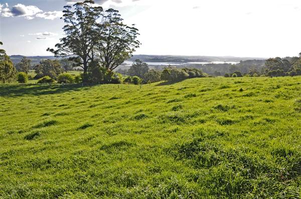 Robertson - Southern Highlands (9/03/2013 8:13:57 PM)