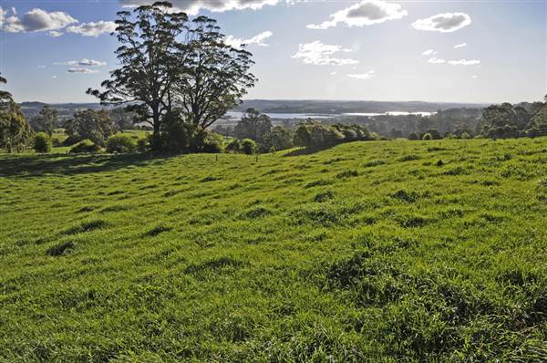 Robertson - Southern Highlands (9/03/2013 8:14:07 PM)