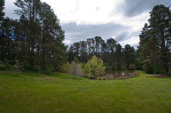 Parklands Country Garden & Lodges (10/03/2013 2:38:37 PM)