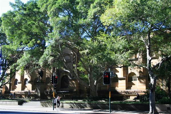 Sydney CBD - Macquarie Street (10/03/2013 9:56:19 PM)