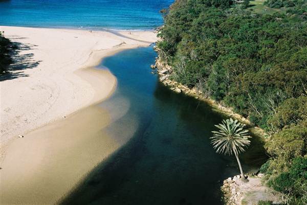 Wattamolla Beach (11/03/2013 12:57:45 PM)