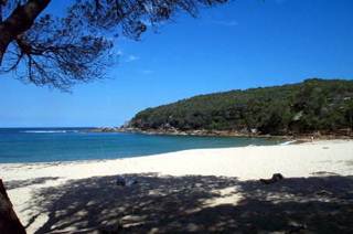 Wattamolla Beach (11/03/2013 1:00:21 PM)