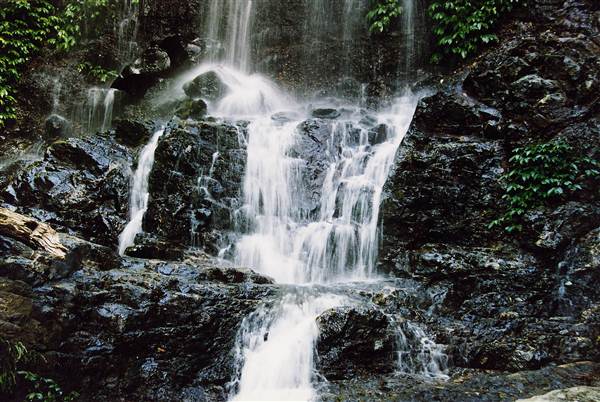 Tristania Falls - Dorrigo National Park (11/03/2013 2:55:52 PM)