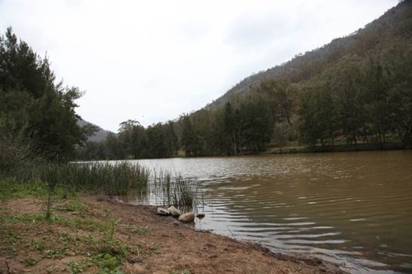 Wollondilly River Station (11/03/2013 2:59:02 PM)