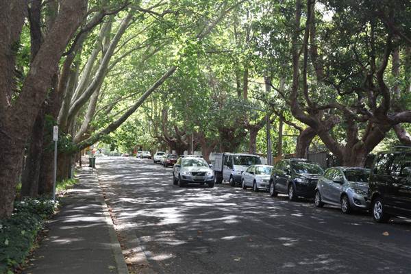 Water St - Pymble (13/03/2013)