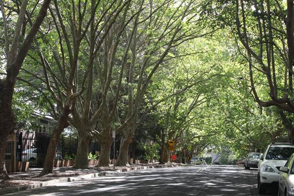 Water St - Pymble (13/03/2013)