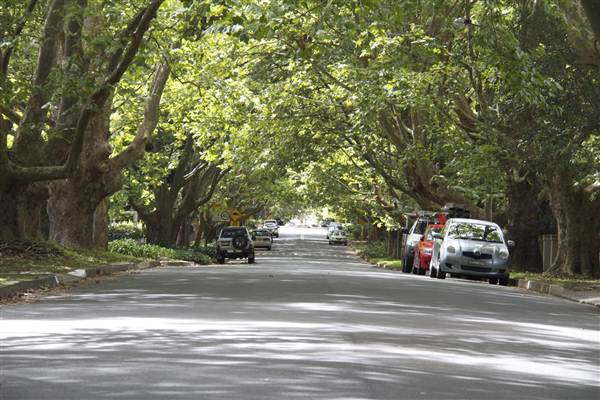 Wahroonga (13/03/2013)