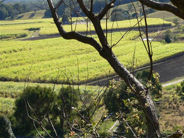 Mullumbimby Area (17/04/2013)