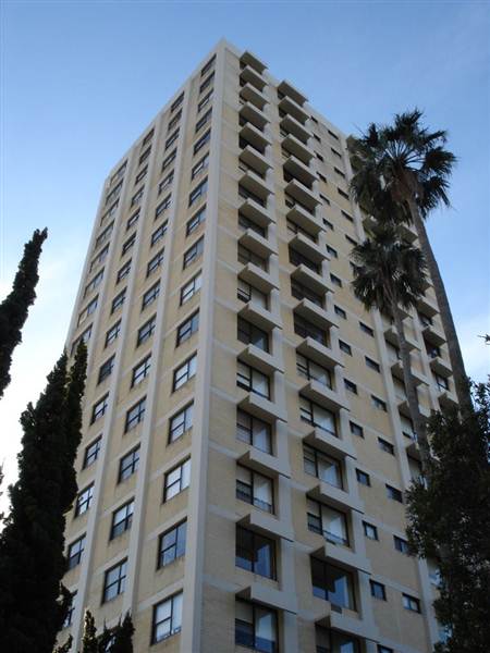 Belgravia Gardens (19/02/2013)