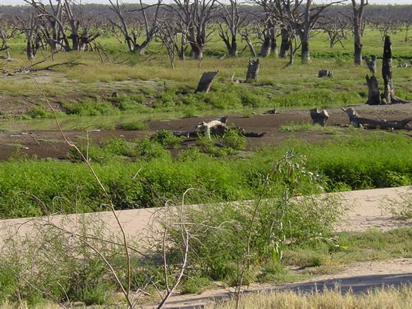 Broken Hill (24/04/2013)
