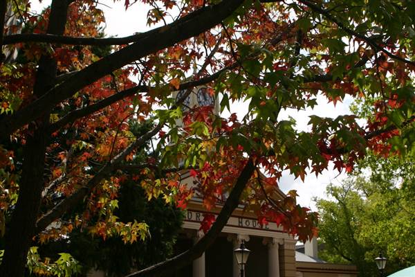 Armidale (26/04/2013)