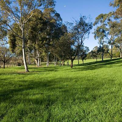 Parramatta Park Trust (11/06/2013)