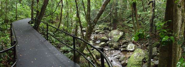 Minnamurra Rainforest Walk (28/02/2011 - Credits: Tony Brown/SISE)