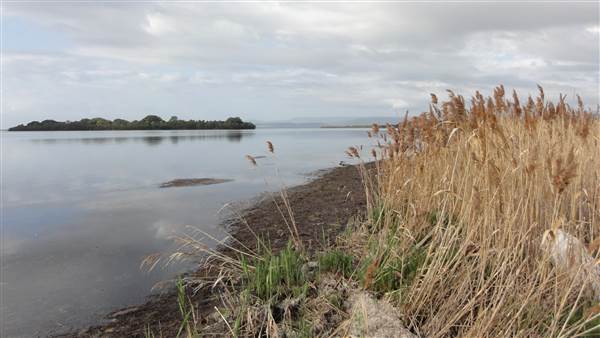 Lake Illawarra North-Holborn Park (15/09/2011 - Credits: Tony Brown /SISE)