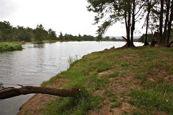 Yarramundi Reserve (17/07/2013)