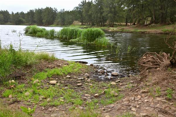 Yarramundi Reserve (17/07/2013)