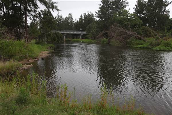 Yarramundi Reserve (17/07/2013)