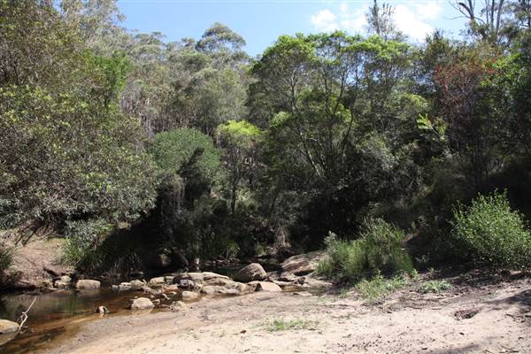 Georges River Nature Reserve (17/07/2013)