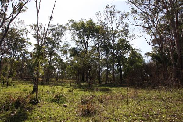Georges River Nature Reserve (17/07/2013)