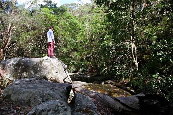 Warraroon Reserve (17/07/2013)