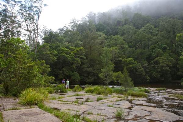 Kangaroo valley (28/11/2013)