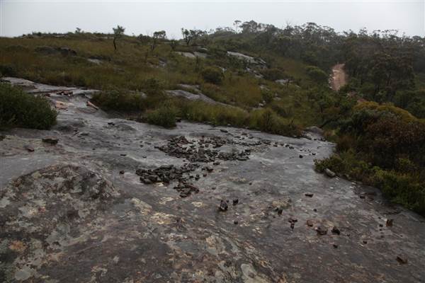 Mt Banks (28/11/2013)