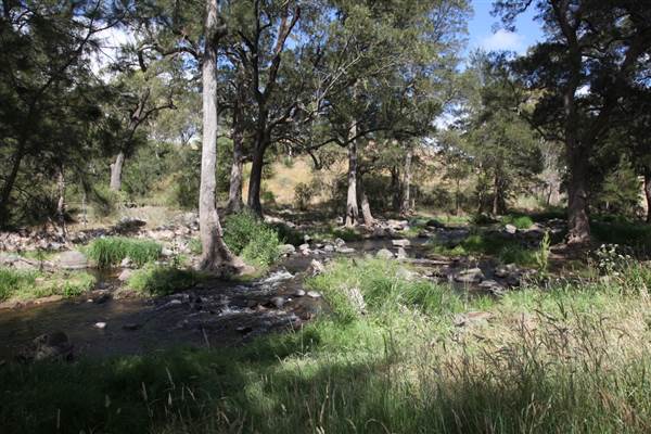 Coxs River - Glenroy Cabins and Camp Ground - Canon 5D (13/12/2012 - Credits: Luke Torrevillas)