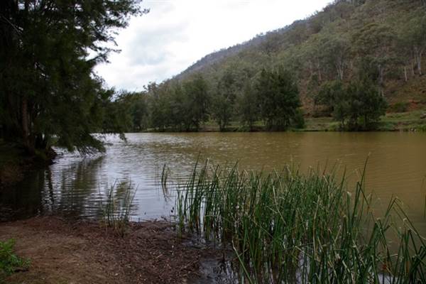 Wollondilly River Station (28/11/2013)