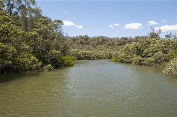 Georges River (5/12/2013)