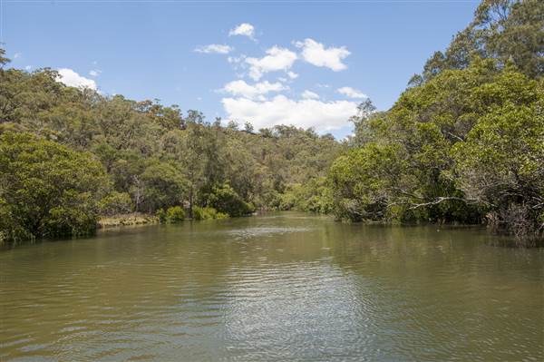 Georges River (5/12/2013)