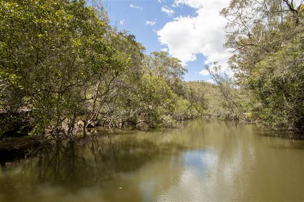 Georges River (5/12/2013)
