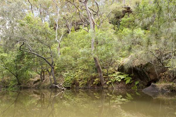 Georges River (5/12/2013)
