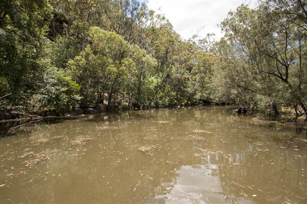 Georges River (5/12/2013)