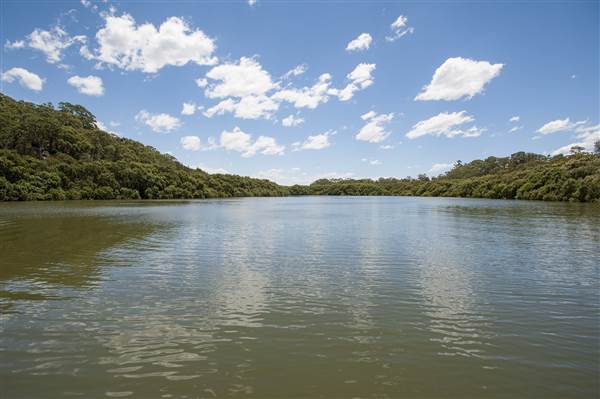 Georges River (5/12/2013)
