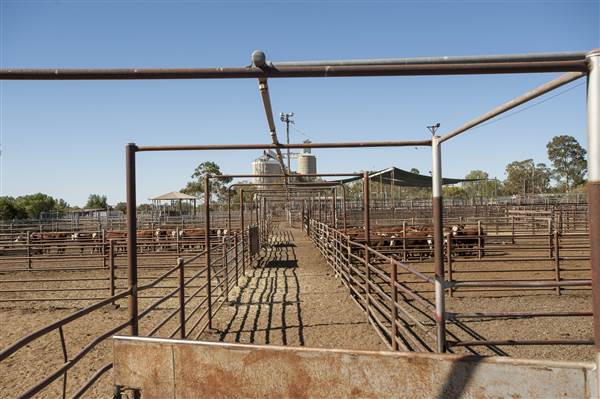 Coonamble (26/11/2013)