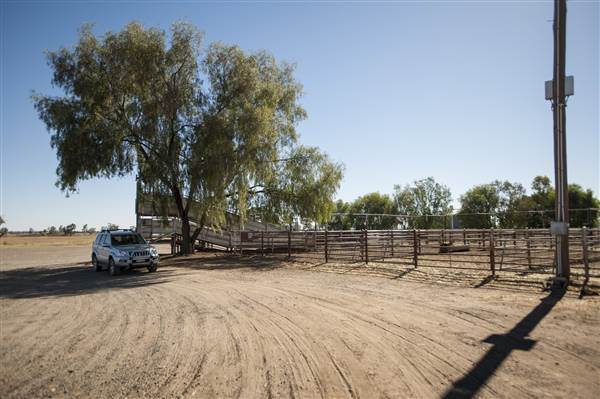 Coonamble (26/11/2013)