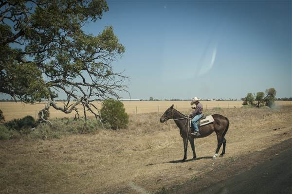 Bourke (11/12/2013)