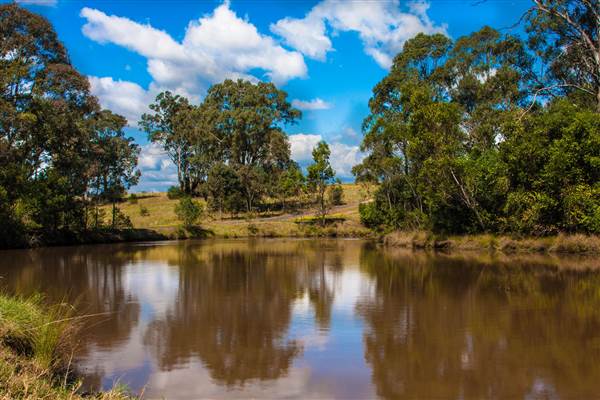 Scenic NSW Equine Centre (25/09/2013 - Credits: Ivy Carrano, Garth Birch)
