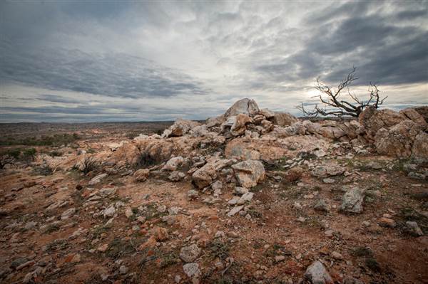 Mount Gipps Station (6/06/2013 - Credits: Colin McDougall)