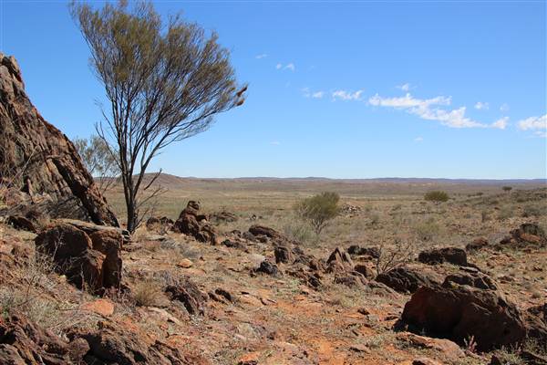Broken Hill Sculptures Site and Living Desert (13/09/2013 - Credits: Lyndall Roberts)