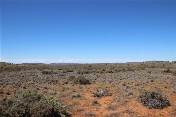 Broken Hill Sculptures Site and Living Desert (13/09/2013 - Credits: Lyndall Roberts)