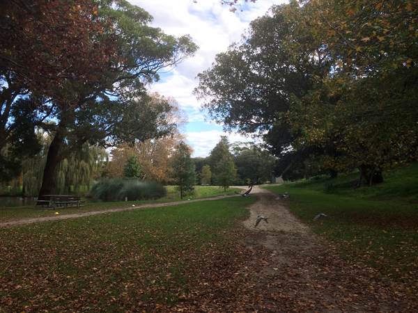 Centennial Park (25/06/2014)