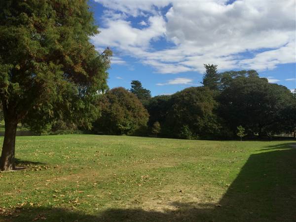 Centennial Park (25/06/2014)