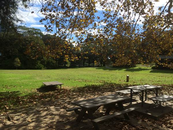 Centennial Park (25/06/2014)