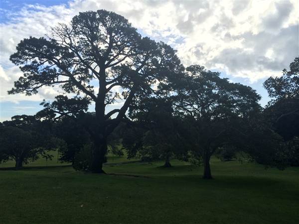 Centennial Park (25/06/2014)