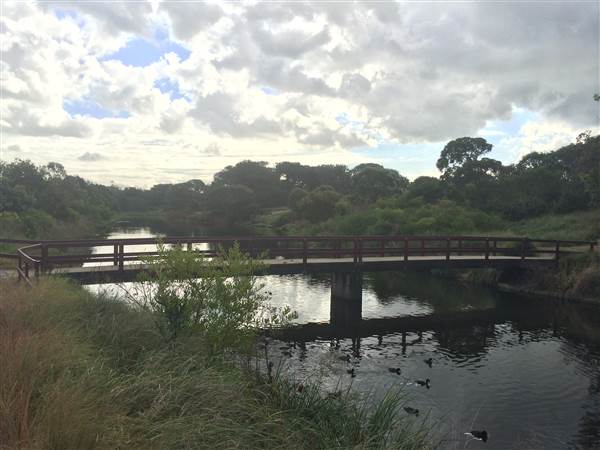Centennial Park (25/06/2014)