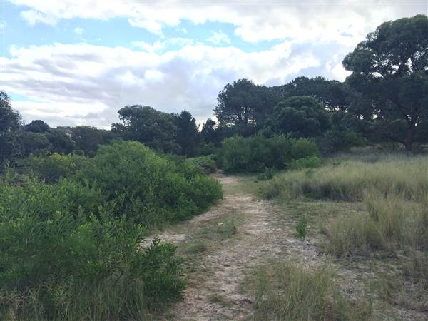 Centennial Park (25/06/2014)